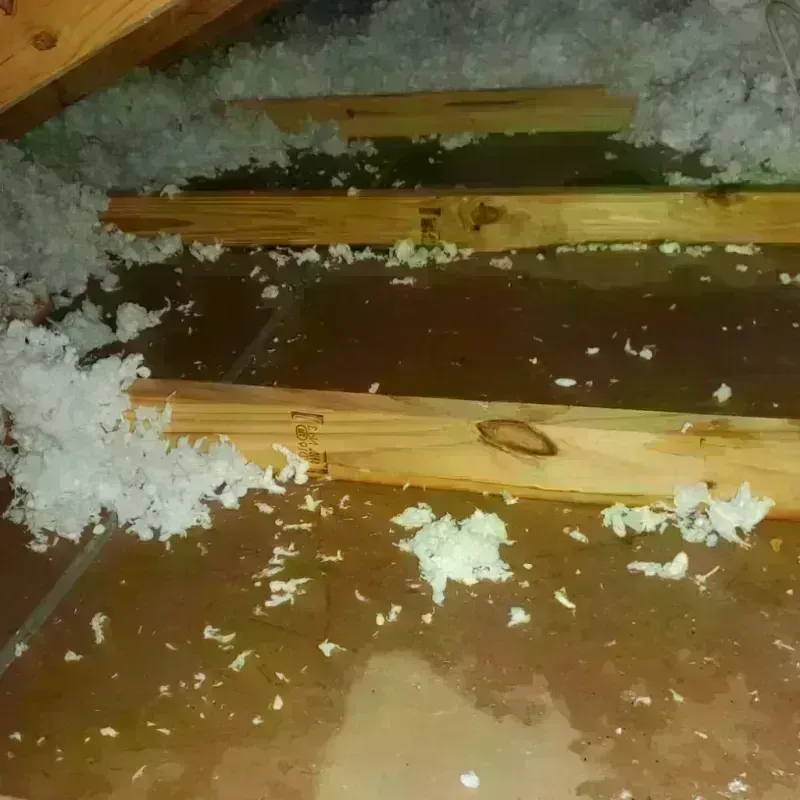 Attic Water Damage in Constantine, MI