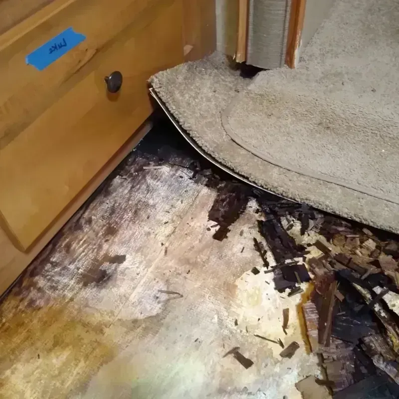 Wood Floor Water Damage in Constantine, MI